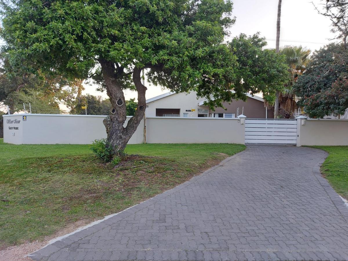 Walmer Manor Port Elizabeth Esterno foto